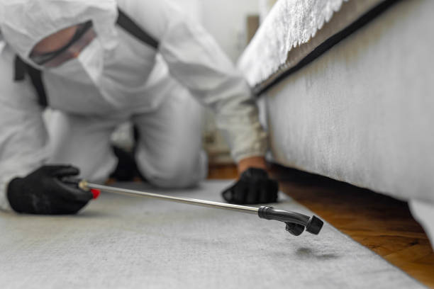 Professional Bed Bug Control technician working in Humboldt County County, CA
